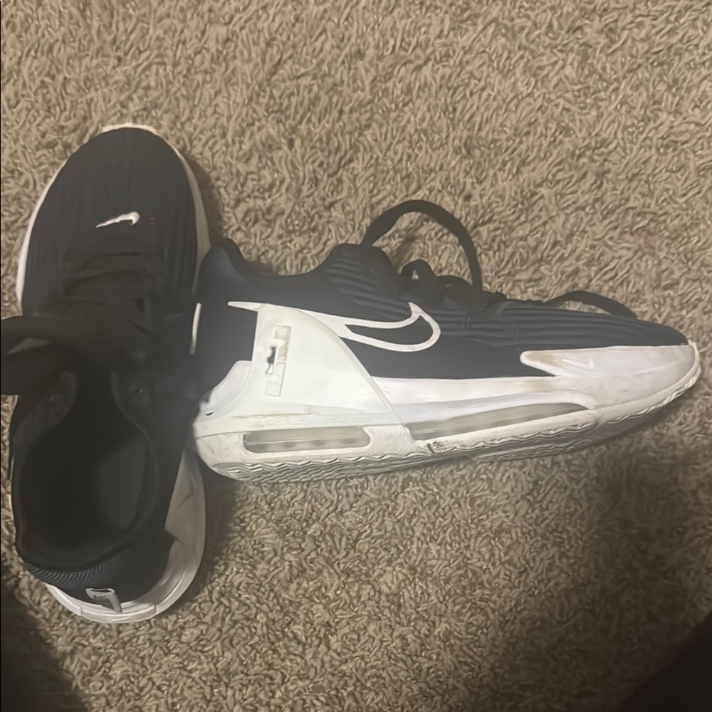 Lebron Witness 6